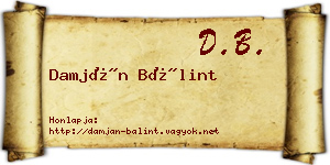 Damján Bálint névjegykártya