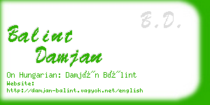 balint damjan business card